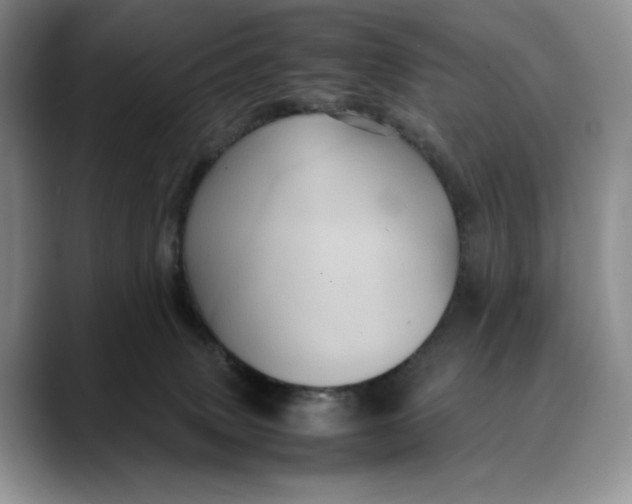 X0000088480083200706121538