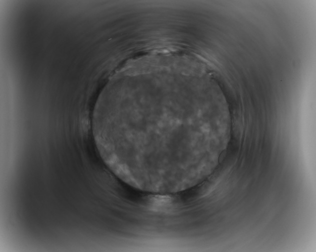 X0000088480085200706121538