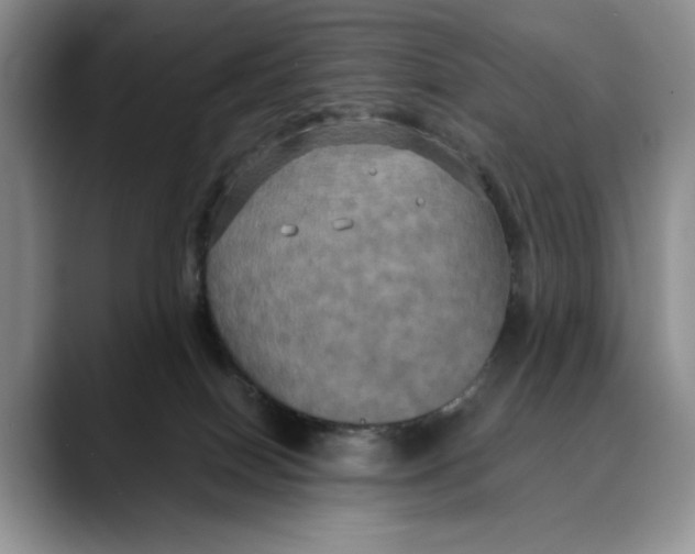 X0000088480086200706121538