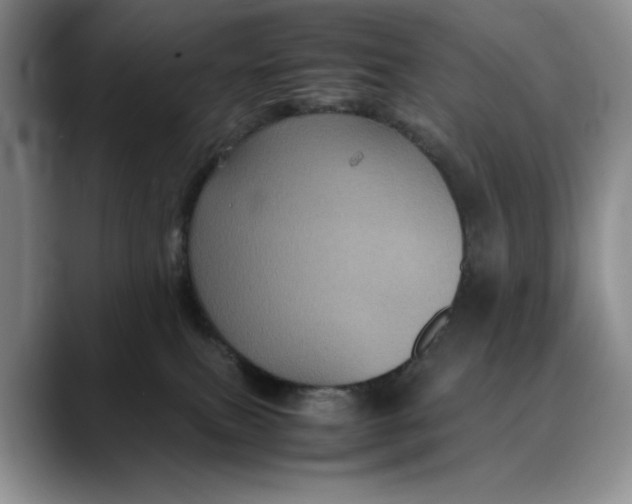 X0000088480087200706121538