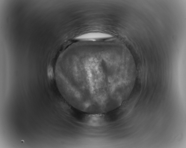 X0000088480089200706121538