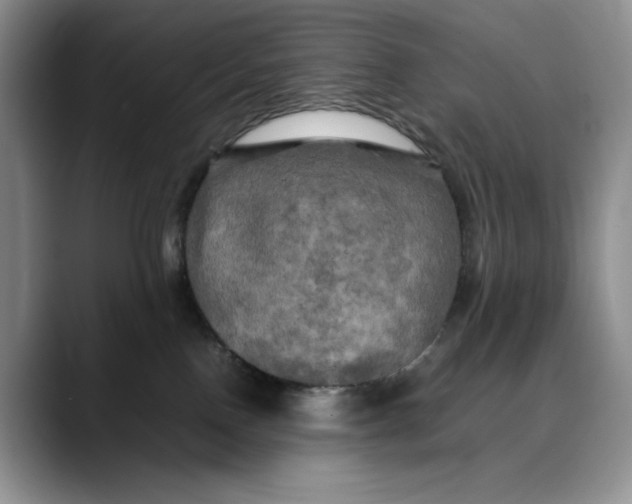 X0000088480090200706121538