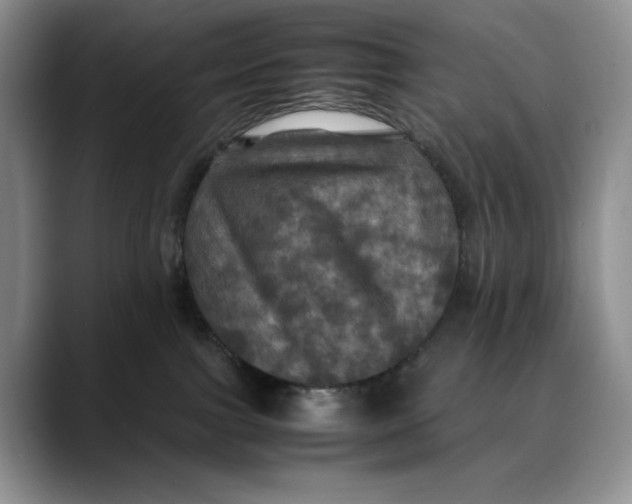 X0000088480091200706121538