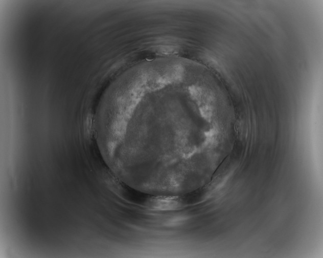 X0000088480093200706121538