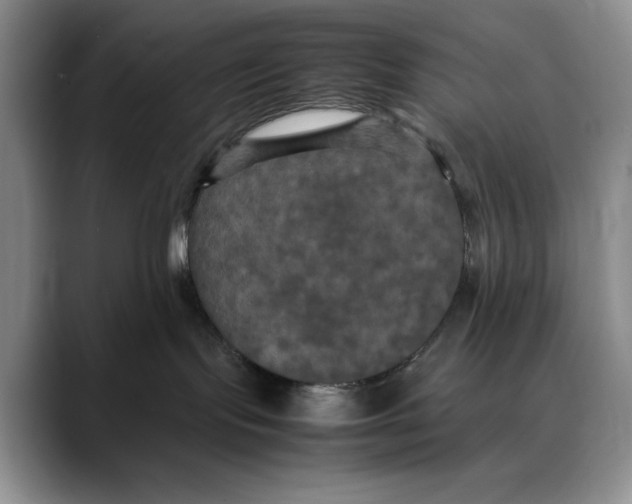 X0000088480095200706121538