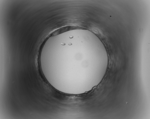 X0000088480098200706121538