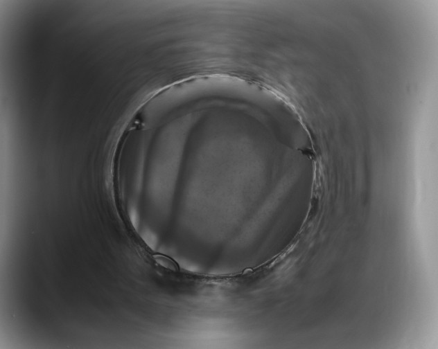 X0000088480099200706121538