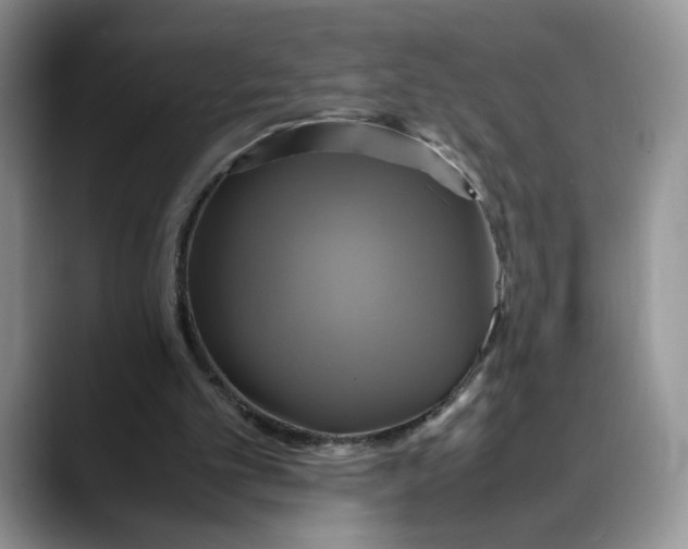 X0000088480101200706121538