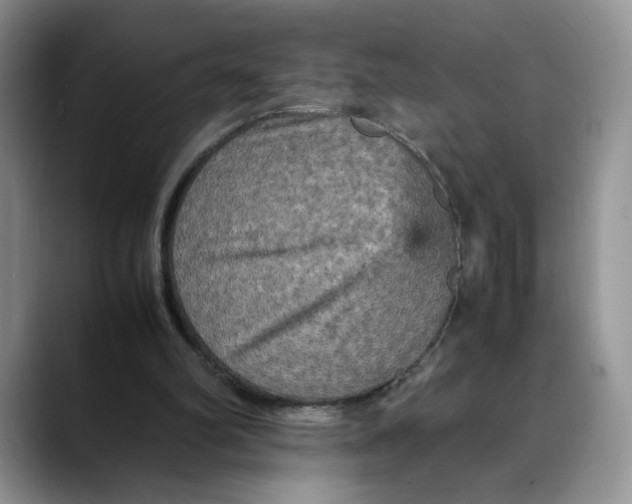 X0000088480102200706121538