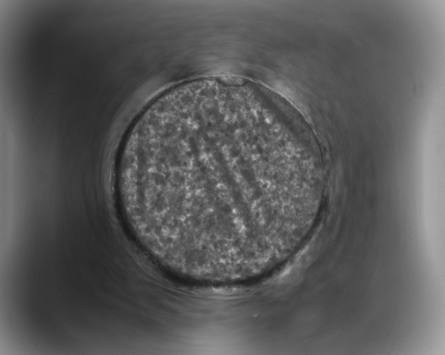 X0000088480103200706121538