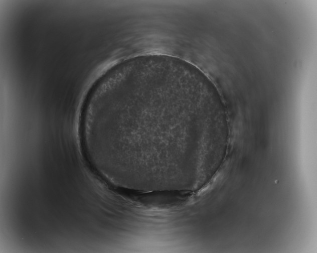 X0000088480104200706121538