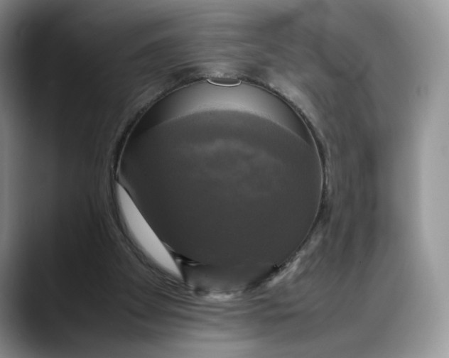 X0000088480105200706121538