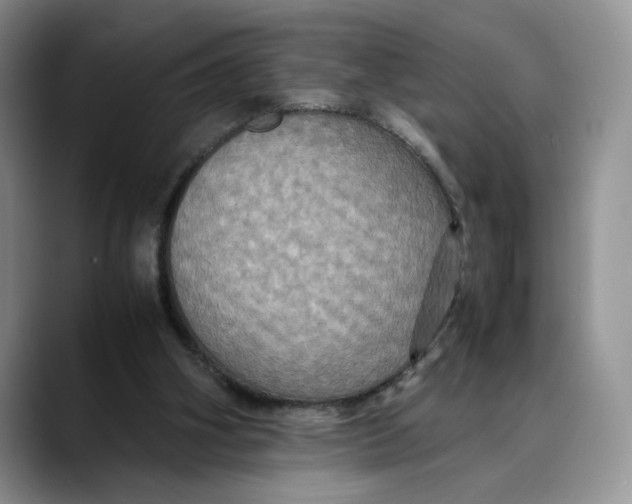 X0000088480106200706121538