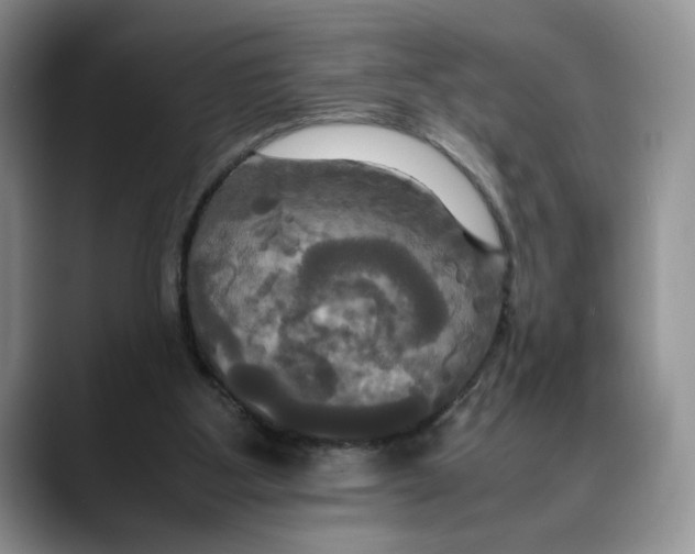 X0000088480107200706121538