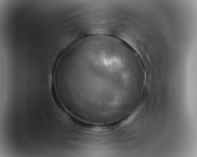 X0000088480109200706121538