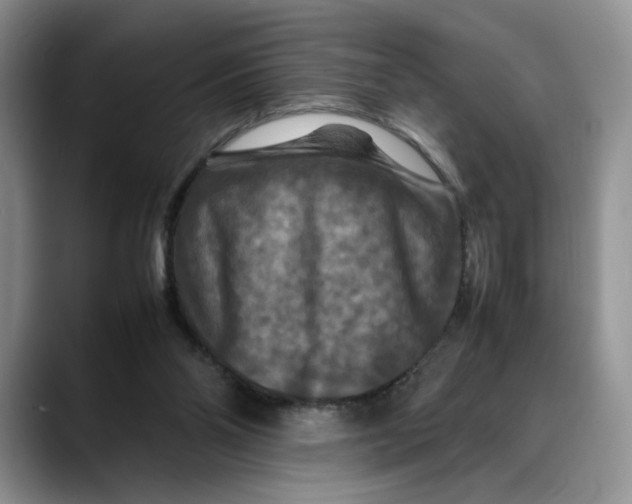 X0000088480110200706121538