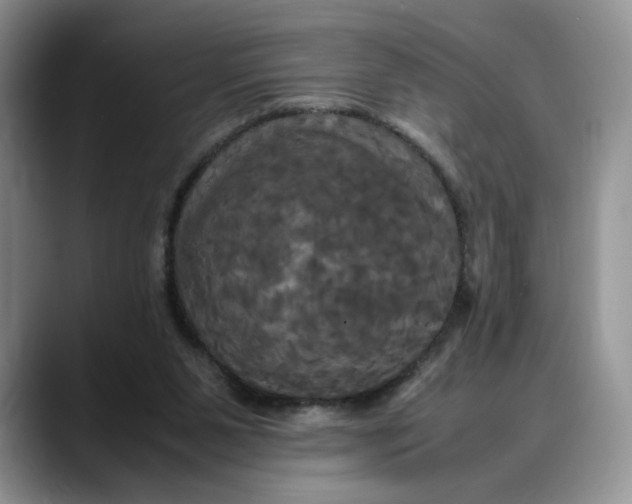 X0000088480111200706121538