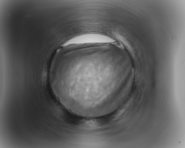 X0000088480113200706121538