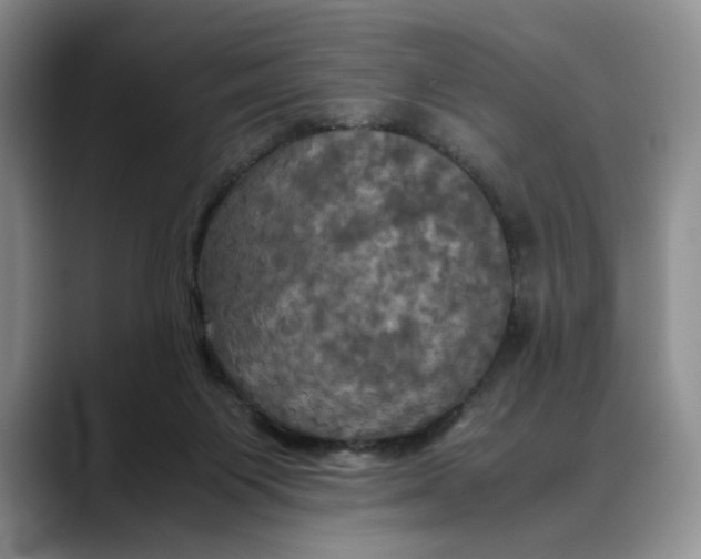 X0000088480119200706121538