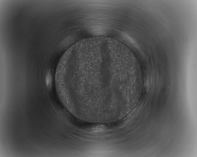 X0000088480124200706121538