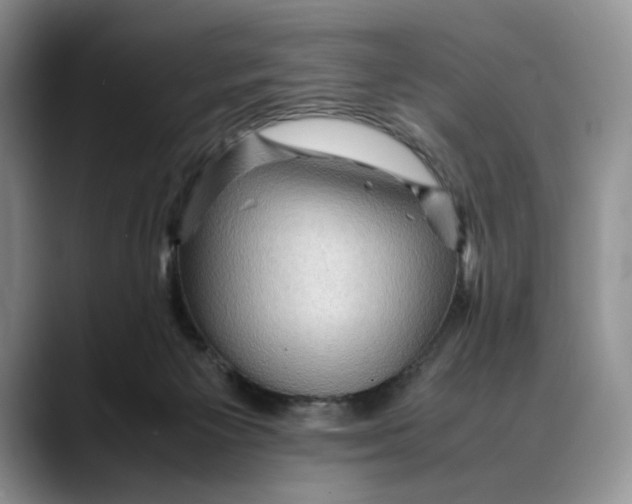 X0000088480125200706121537