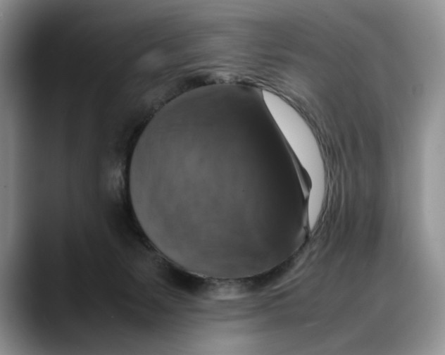 X0000088480127200706121537