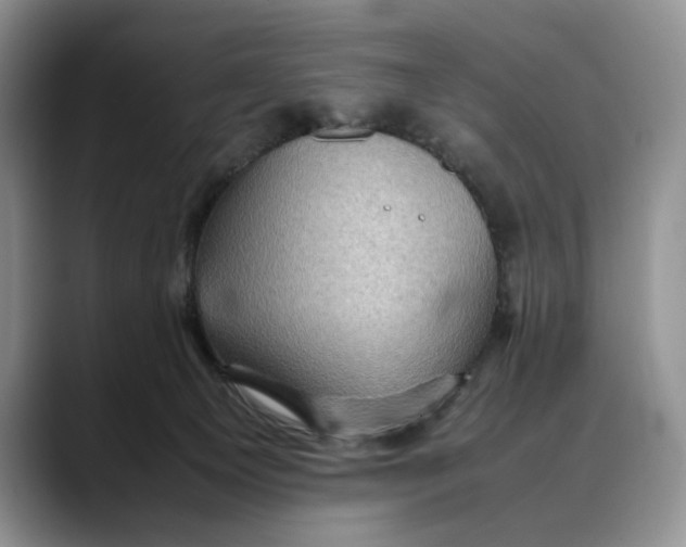 X0000088480129200706121537