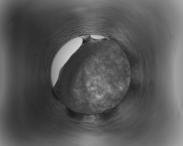 X0000088480131200706121537