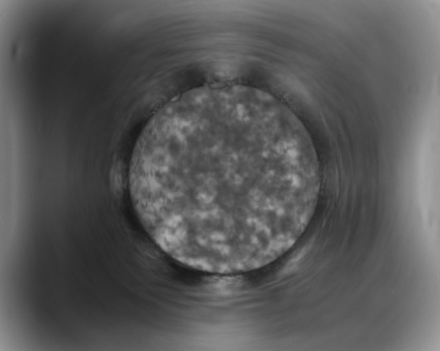 X0000088480135200706121537