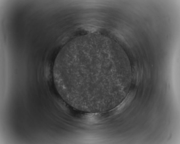 X0000088480136200706121537