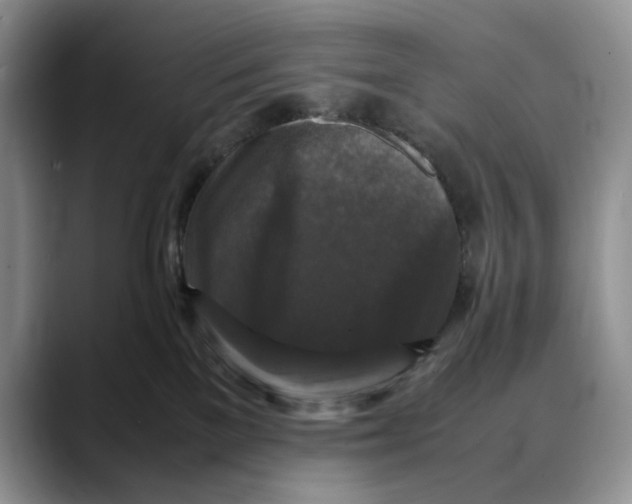 X0000088480137200706121537