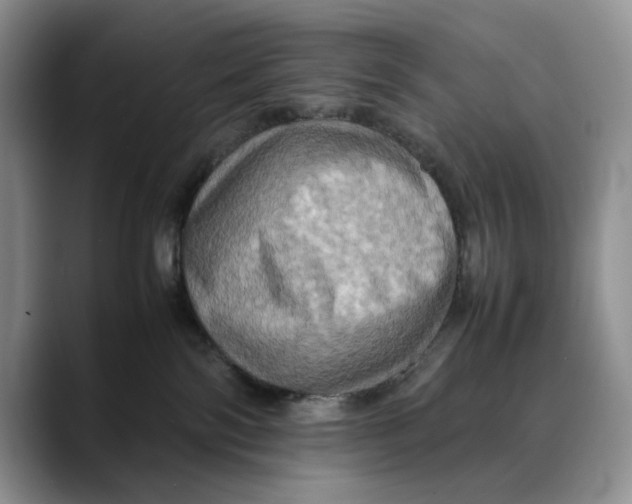 X0000088480138200706121537