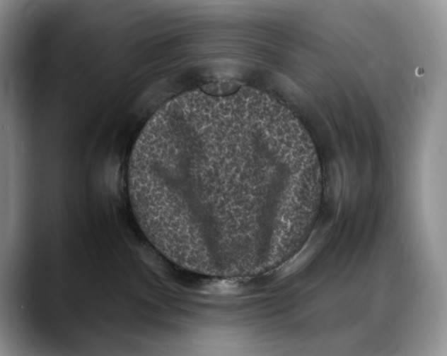 X0000088480140200706121537