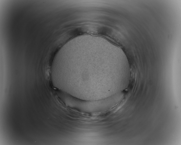 X0000088480141200706121537