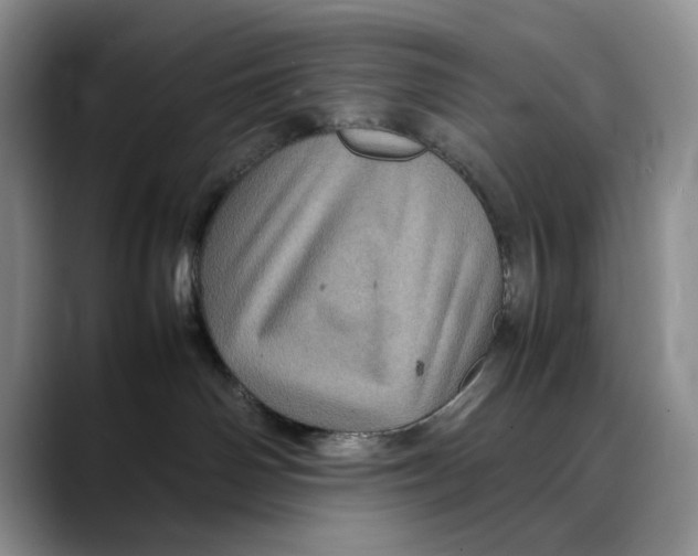 X0000088480142200706121537