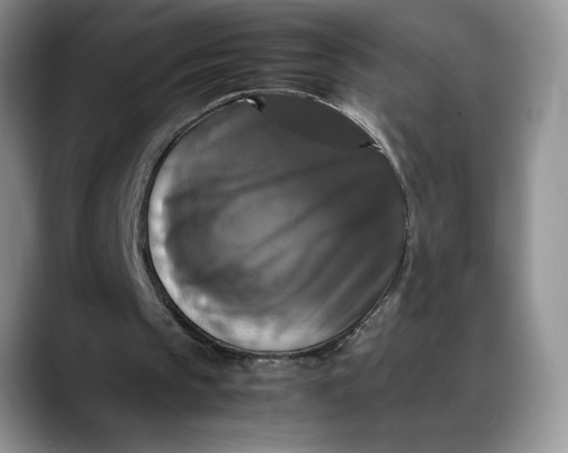 X0000088480145200706121537