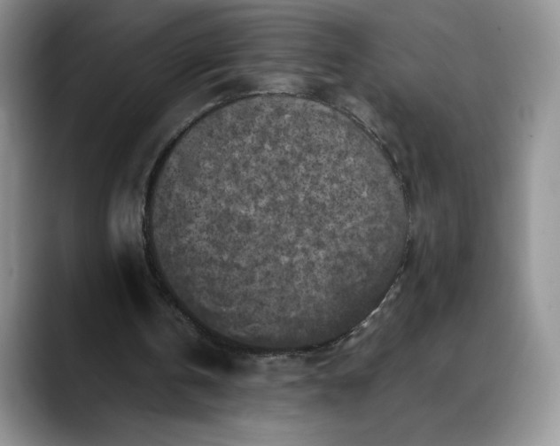 X0000088480146200706121537