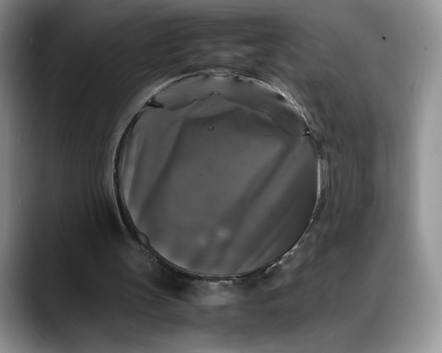 X0000088480147200706121537