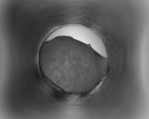 X0000088480148200706121537