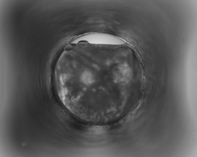 X0000088480149200706121537