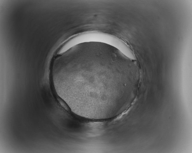 X0000088480150200706121537