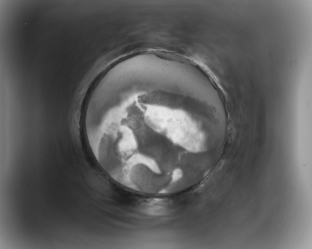 X0000088480151200706121537