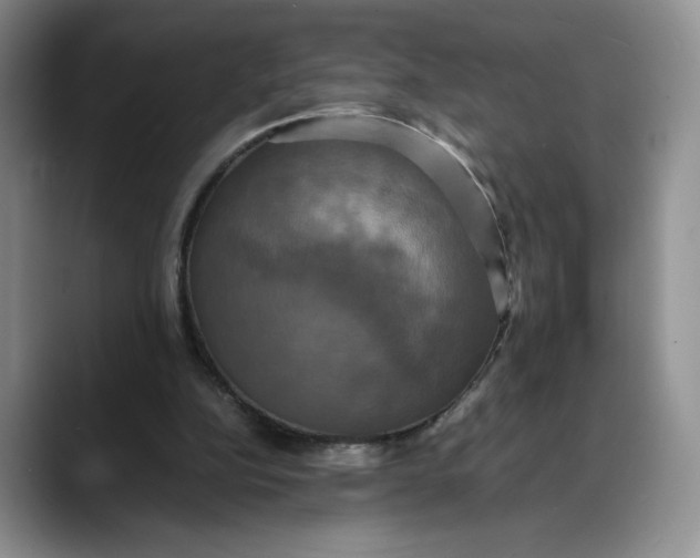 X0000088480152200706121537