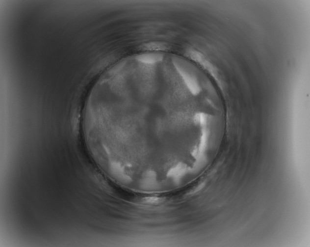 X0000088480153200706121537