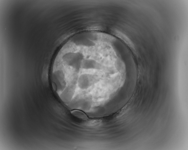 X0000088480155200706121537