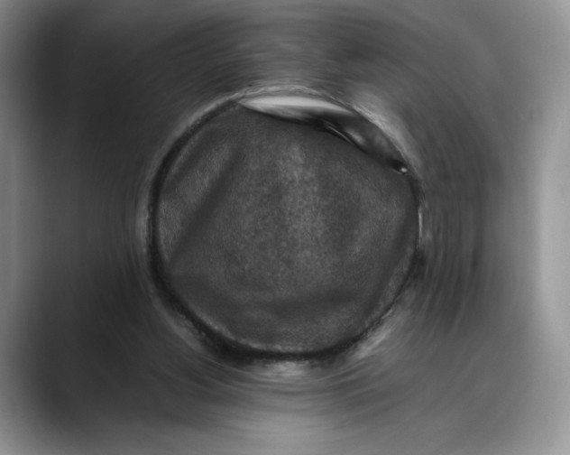 X0000088480156200706121537