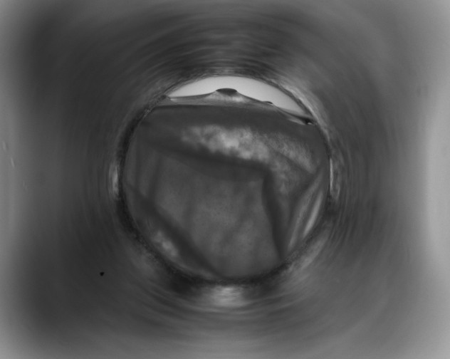 X0000088480157200706121537