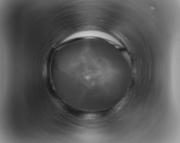 X0000088480158200706121537