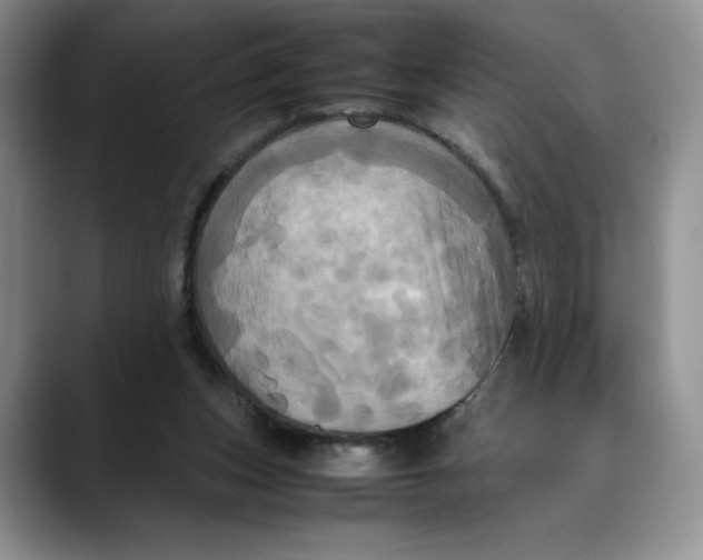 X0000088480159200706121537