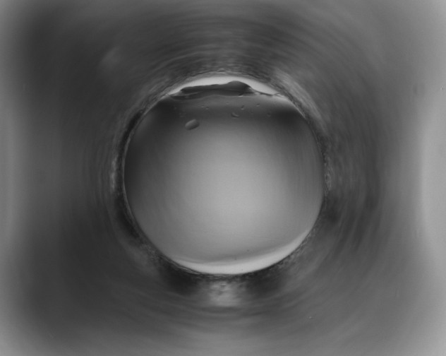 X0000088480163200706121537